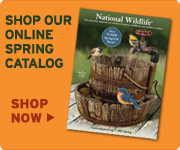 Shop our online spring catalog